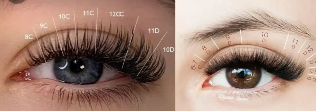 C curl eyelash and D curl eyelash mix
