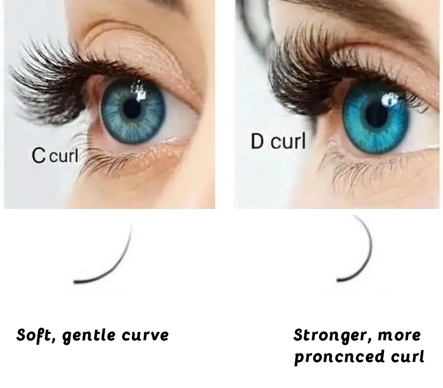 Comparison between C curl and D curl eyelash