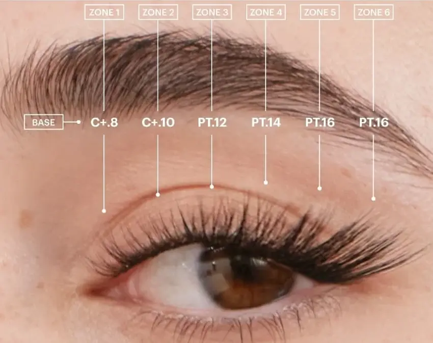 Fox eye lash look close-up with outer-corner elongation and fox mapping zones