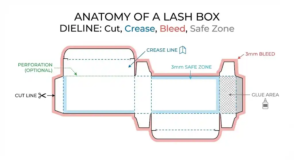 Anatomy of a lash box dieline