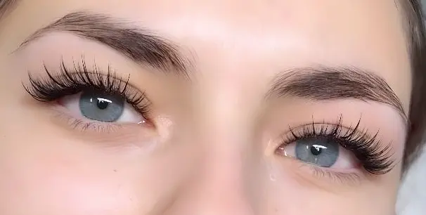 title cat eyelash extensions.pic