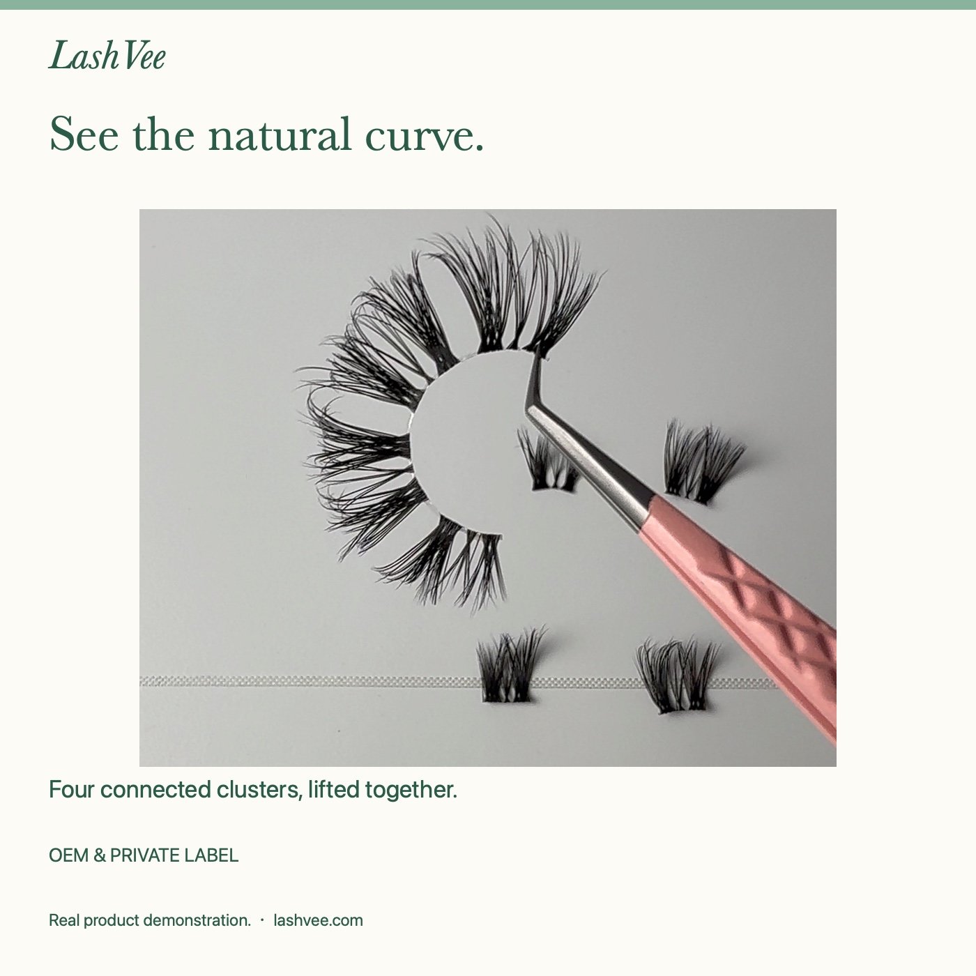 Four connected LashVee lash clusters showing their naturally curved band after lifting